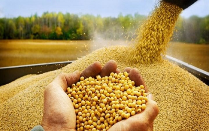 توزیع بیش از ۳ هزار و  ۵۰۰ تن نهاده‌ کشاورزی در کرمانشاه