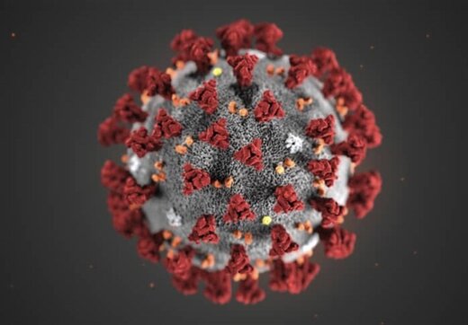 یک متخصص بیماری عفونی: کرونا برای همیشه باقی خواهد ماند