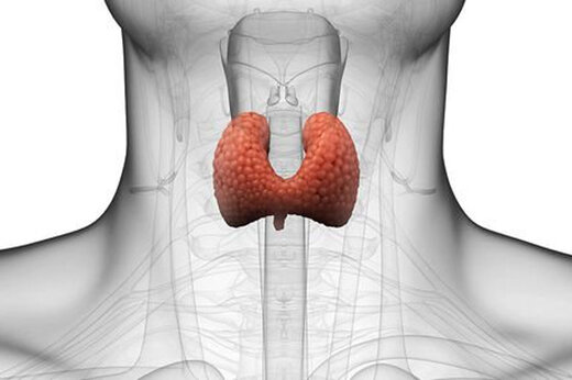 ۱۰ نشانه که غده تیروئید شما کار نمی‌کند
