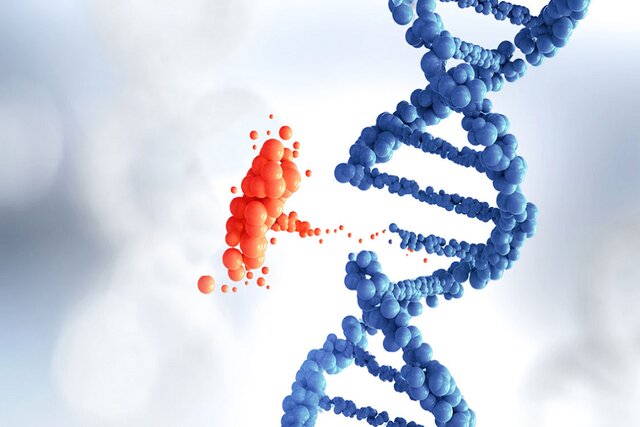 درمان بیماری‌های ژنتیکی با کمک یک سیستم جدید دارورسانی ممکن می‌شود