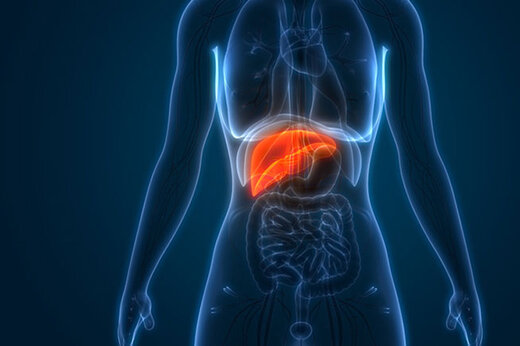 با خوردن این چند میوه کبد چرب را درمان کنید
