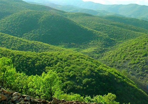 سپرده شدن مراتع به اهالی ۹۶ روستای استان کرمانشاه