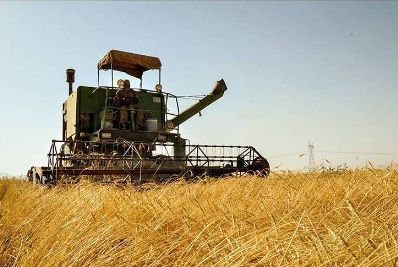 آماده‌سازی ۷۱ مرکز خرید گندم در کرمانشاه