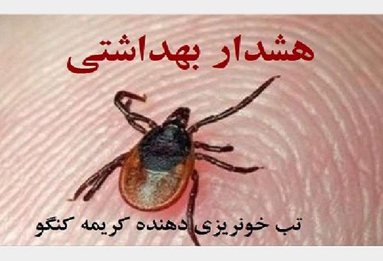 خطر ابتلا به تب کریمه کنگو با خرید گوشت از فروشگاه‌های غیر مجاز