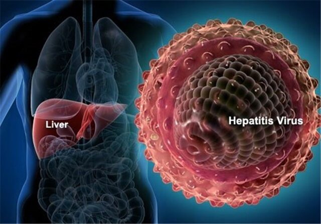 این بیماری ویروسی در کمین “کبد” شماست!