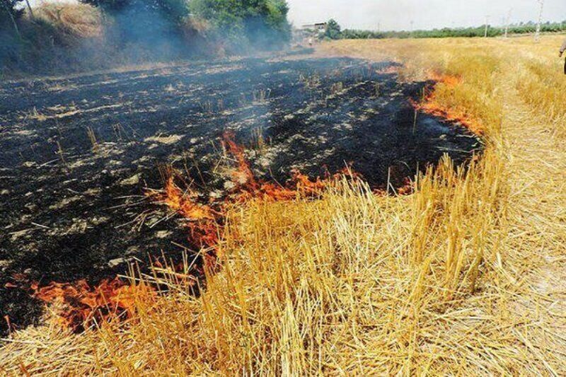 مهار آتش سوزی در مزارع دهستان بشیوه و پاطاق سرپل ذهاب