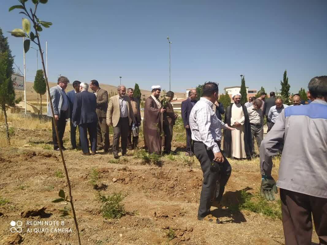 غرس نود اصله نهال مثمر در دانشگاه آزاد اسلامی واحد کرمانشاه