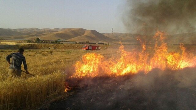 “جارسوزی” از نظر علمی مردود است