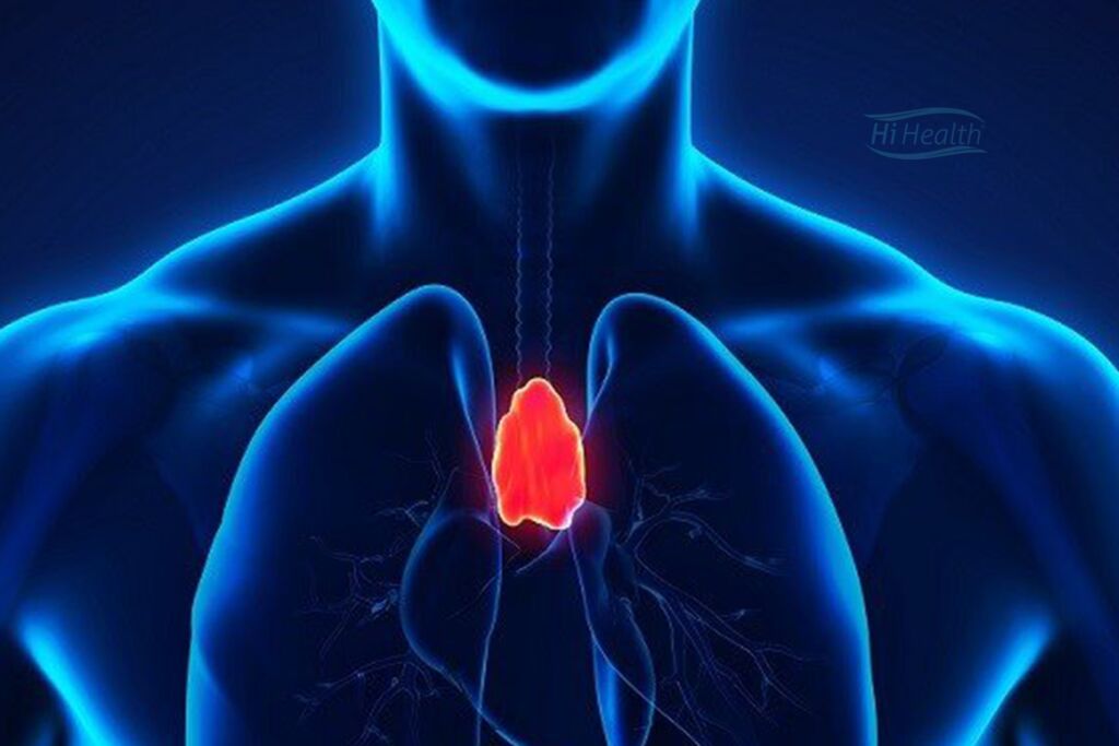 برداشتن غده تیموس پیش زمینه ابتلا به سرطان است