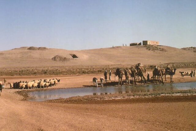 احتمالا انفجار یک دنباله‌دار کشاورزی در سوریه را کلید زده است