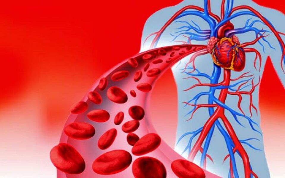 ۹ ماده موثر برای بهبود گردش خون در بدن