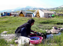 ۵۱۱ هزار مادر روستایی دارای ۳ فرزند بطور رایگان بیمه شدند