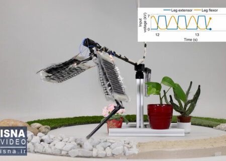 ویدیو/ ساخت نخستین پای رباتیک با «ماهیچه‌های مصنوعی»