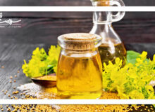 بهترین روغن برای حفظ سلامت بدن