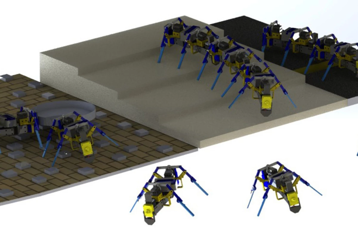 ربات‌هایی که مثل مورچه‌ها کار گروهی می‌کنند